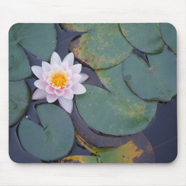 Tapis De Souris Fleur de Lotus (Devant)