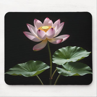 Tapis De Souris Fleur de Lotus à l'art numérique feuille