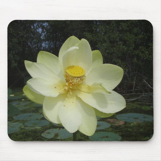 Tapis De Souris Fleur de Lotus jaune (Devant)