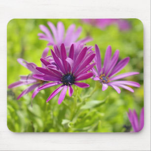 Tapis De Souris Fleur de marguerite africaine Mousepad