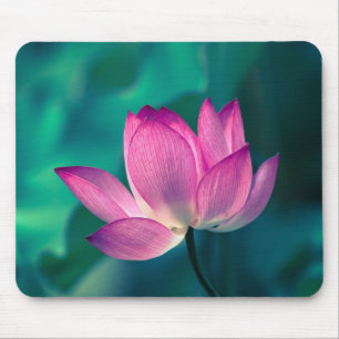 Tapis De Souris Fleur de nénuphar de Lotus
