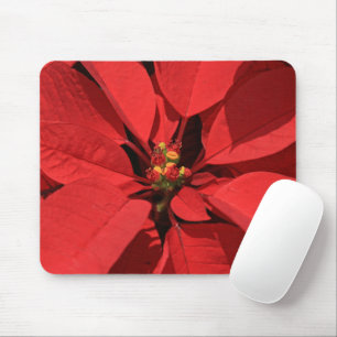 Tapis De Souris Fleur de Noël Poinsettia