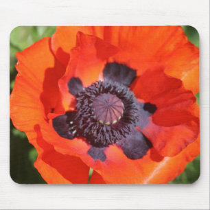 Tapis De Souris Fleur de pavot orientale