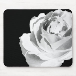 Tapis de souris fleur de rose blanche