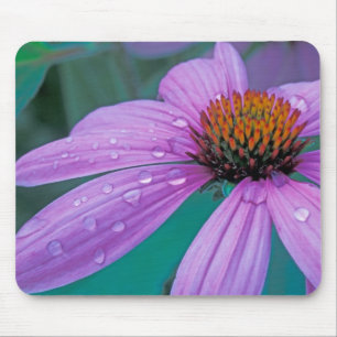 Tapis De Souris fleur d'Echinacea pourpre avec gouttes d'eau