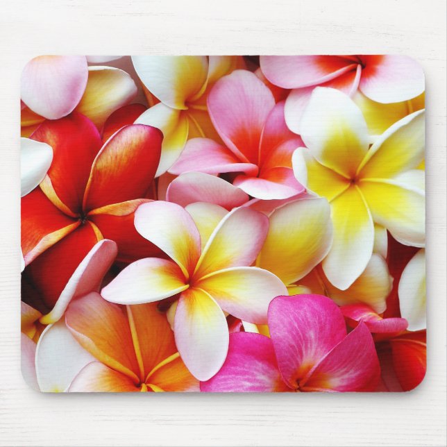 Tapis De Souris Fleur d'Hawaï de Frangipani de Plumeria customisée (Devant)
