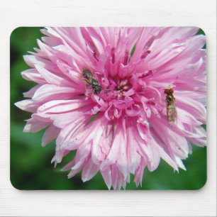 Tapis De Souris Fleur et insectes roses