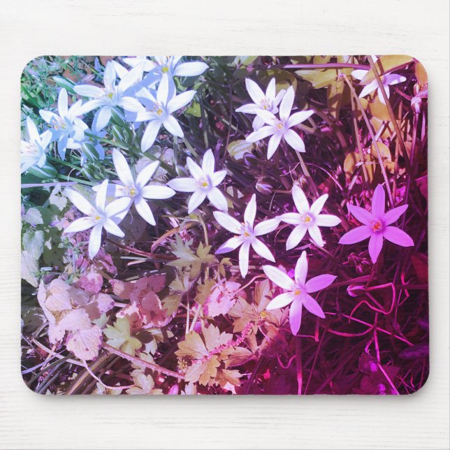Tapis De Souris Fleur étoile blanche (Devant)