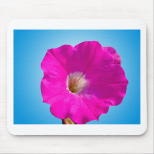 Tapis De Souris fleur pétunia rose en arrière - plan bleu.