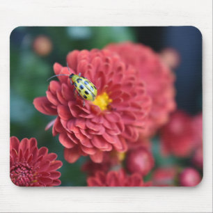 Tapis De Souris Fleur rouge Nature Photographie du dendroctone ins
