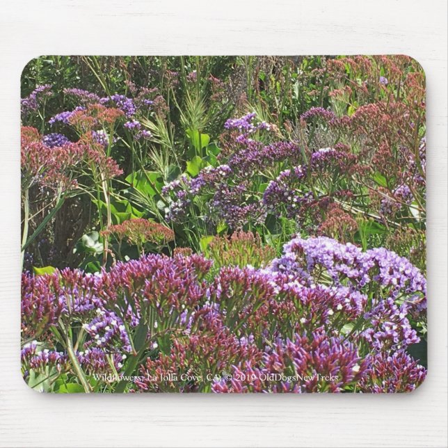 Tapis De Souris Fleur sauvage, La Jolla Cove, CA (Devant)