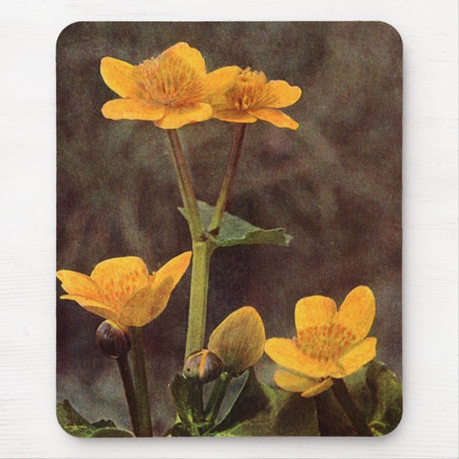 Tapis De Souris FLEUR SAUVAGE : Marsh Marigold (Devant)