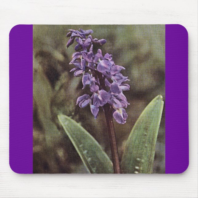 Tapis De Souris Fleur sauvage : Orchidées violettes précoces (Devant)