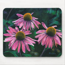 Fleurs à cône rose -