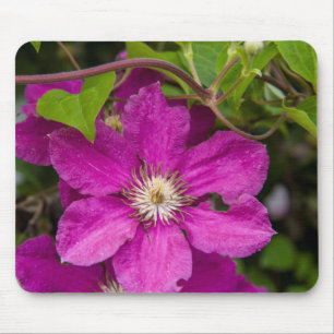Tapis De Souris Fleurs chez Robinette's Apple Haus & Gift Barn