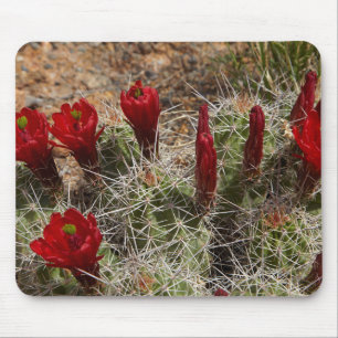 Tapis De Souris Fleurs de cactus de la Coupe Claret 2