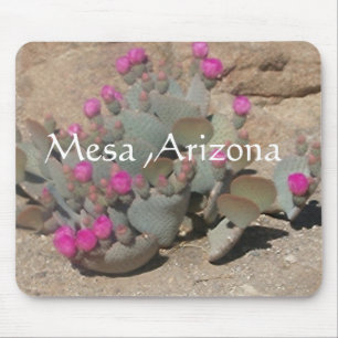 Tapis De Souris Fleurs de cactus roses en Mesa, Arizona