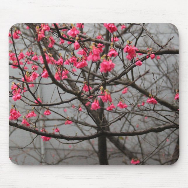 Tapis De Souris Fleurs de cerisier (Devant)