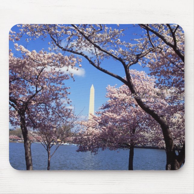 Tapis De Souris Fleurs de cerisier dans le mousepad de Washington (Devant)
