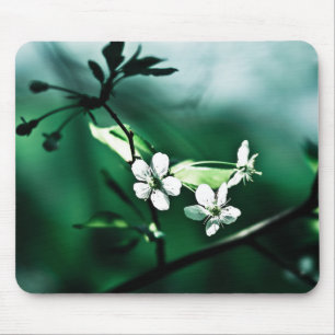 Tapis De Souris Fleurs de cerisiers blancs