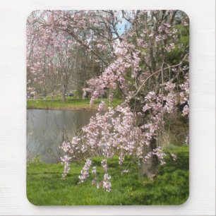 Tapis De Souris Fleurs De Cerisiers Par La Souris D'Eau