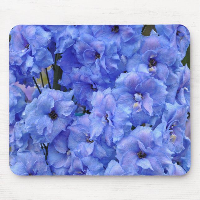 Tapis De Souris Fleurs de delphinium bleu (Devant)