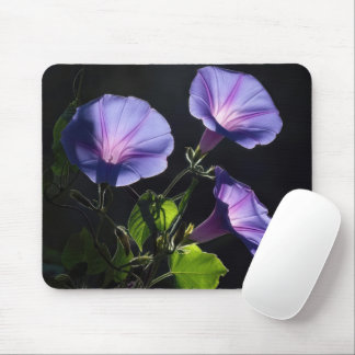 Tapis De Souris Fleurs de Gloire du Matin Illuminées