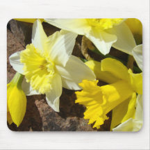 TAPIS DE SOURIS Fleurs de Narcisse TAPIS DE SOURIS