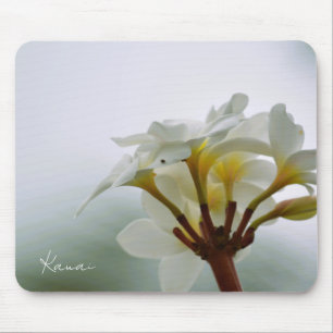 Tapis De Souris Fleurs de Plumeria blanches Kauai (photo prise par