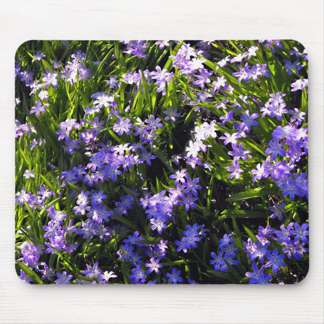Tapis De Souris Fleurs de printemps de Squill Bleu (Devant)