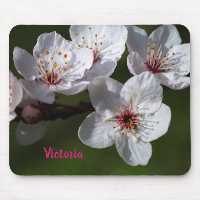 Tapis De Souris Fleurs de prunes printanières (Devant)