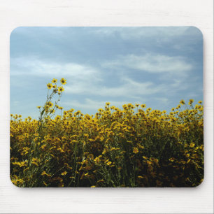 Tapis De Souris Fleurs de soleil fleurs sauvages