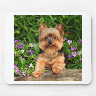 Tapis De Souris Fleurs de Yorkie