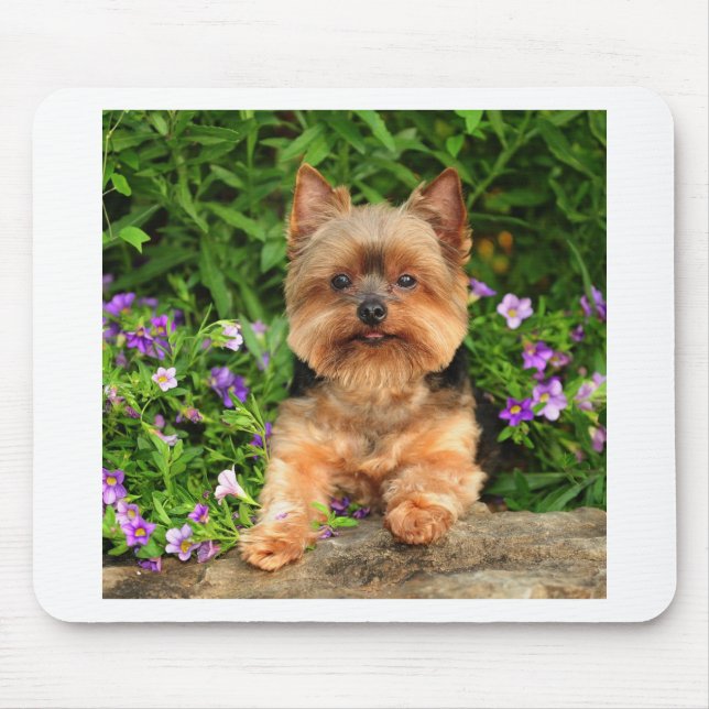 Tapis De Souris Fleurs de Yorkie (Devant)