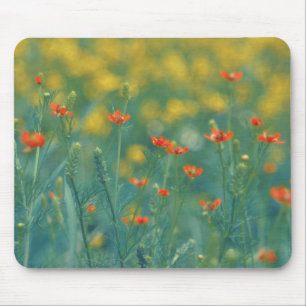 Tapis De Souris Fleurs d'été (champ floral) (Fleurs rouges)