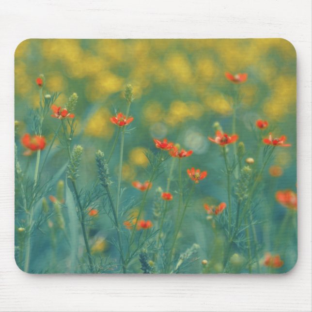 Tapis De Souris Fleurs d'été (champ floral) (Fleurs rouges) (Devant)