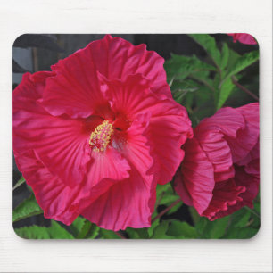 Tapis De Souris Fleurs d'hibiscus roses