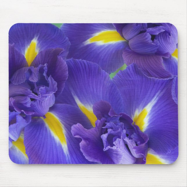 Tapis De Souris Fleurs d'Iris (Devant)