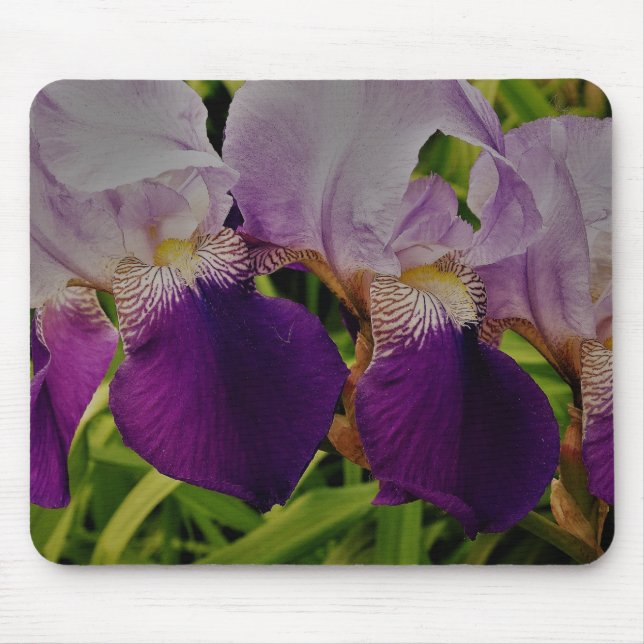 Tapis De Souris Fleurs d'iris violet photo Mousepad (Devant)
