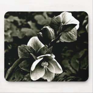 TAPIS DE SOURIS FLEURS EXOTIQUES D'ARBRE EN NOIR ET BLANC