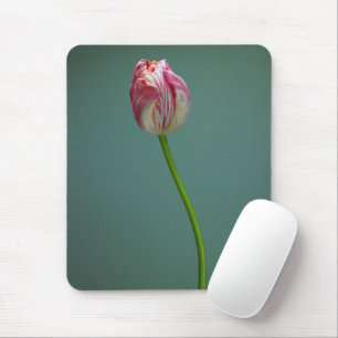 Tapis De Souris Fleurs   Fleur de tulipe unique