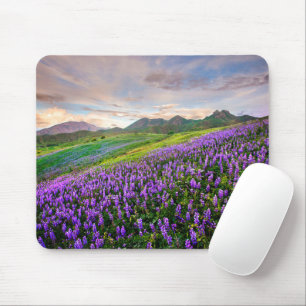 Tapis De Souris Fleurs   Fleurs sauvages californiens