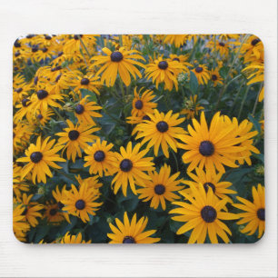 Tapis De Souris Fleurs jaunes de marguerite de jardin.