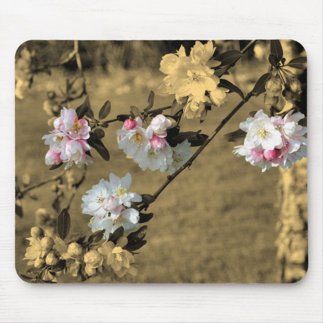 Tapis De Souris Fleurs Printanières En Sepia (Devant)
