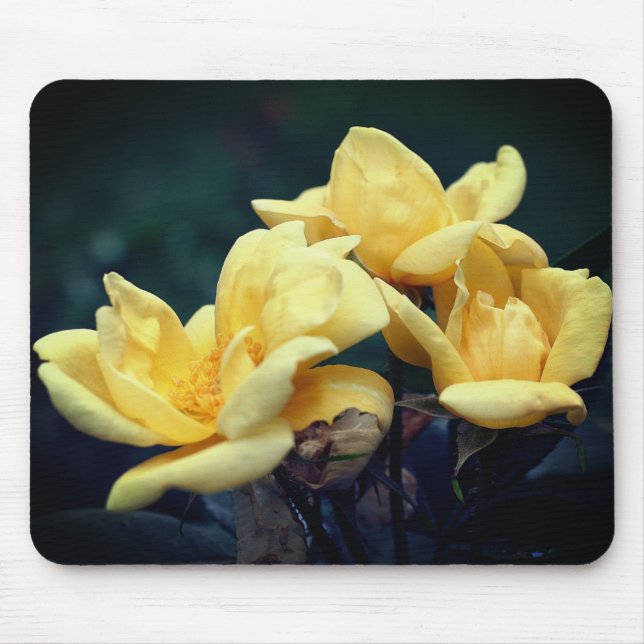Tapis De Souris Fleurs Rosebud Jaunes (Devant)