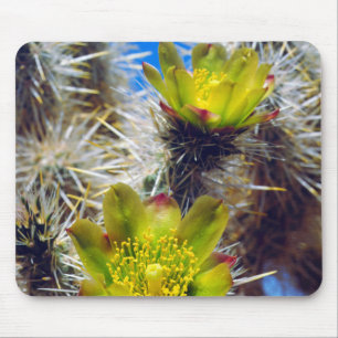 Tapis De Souris Fleurs sauvages de cactus Cholla argenté