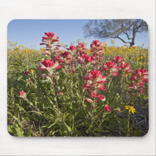 Tapis De Souris fleurs sauvages de la route au Texas, printemps
