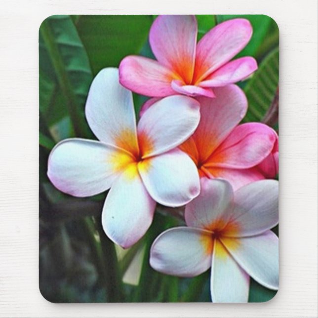 Tapis De Souris Fleurs tropicales (Devant)