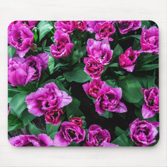 Tapis De Souris Fleurs tulipes roses (Devant)