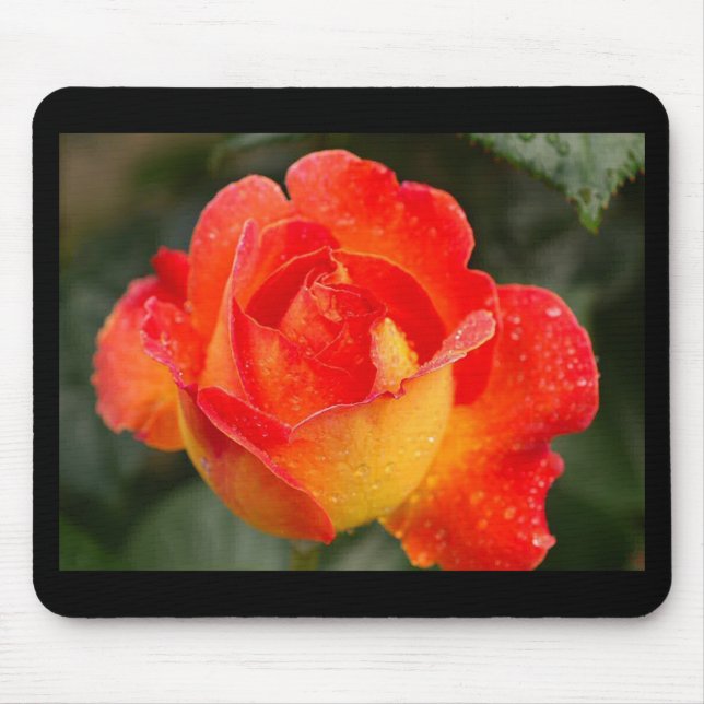 Tapis De Souris Floral Rose orange (Devant)
